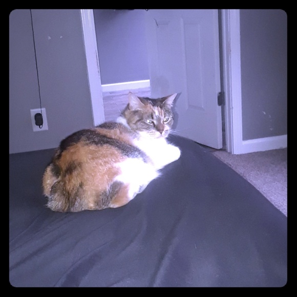 My Family ❤️ - Picture 5 of 6